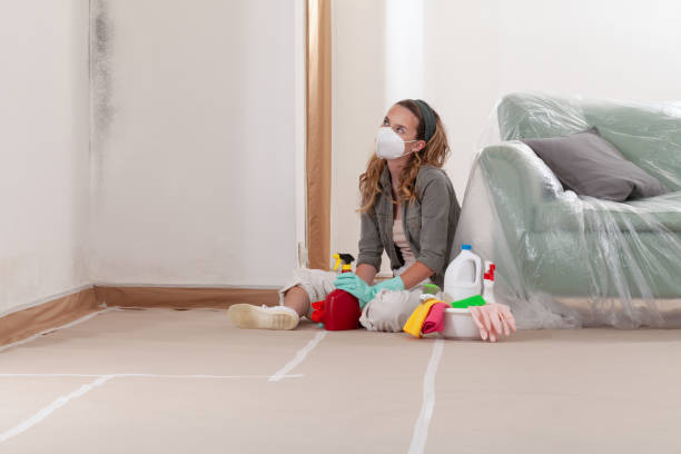 Reliable Mold Removal contractor in Austell, GA by WQB Mold Removal